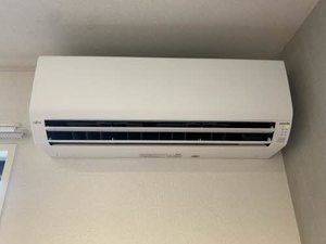 ベル・ビスカス 0203号-14