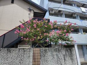 エクセル栄泉 0102号-14