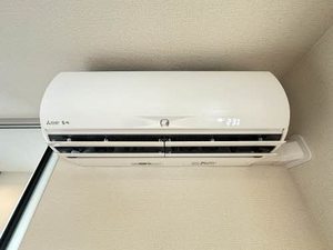 ＳｈａＭａｉｓｏｎ　ＭａｔｓｕｓａｋａＣａｓｔｌｅ 0208号-12