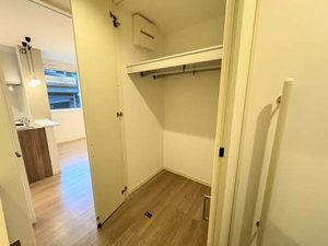 カルムⅡ（ＣａｌｍｅⅡ） 0102号-9