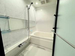 カルムⅡ（ＣａｌｍｅⅡ） 0102号-11