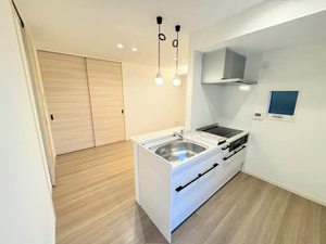 カルムⅡ（ＣａｌｍｅⅡ） 0201号-4