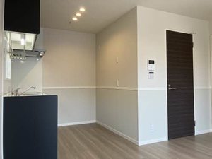 ランペドゥーサ燕 0101号-3