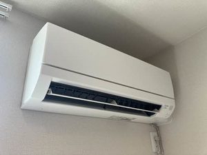 ランペドゥーサ燕 0101号-6