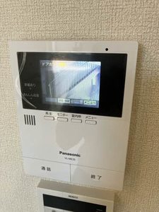 ランペドゥーサ燕 0101号-9