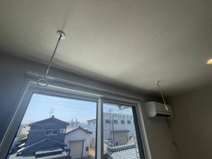 ランペドゥーサ燕 0201号-8