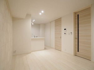 ポントルミネール 0201号-9