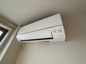 セレーノシェロ 0201号-8