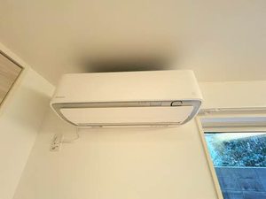 フリズリー芳斉 0102号-15