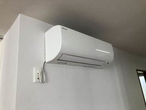 ビサリア 0103号-14