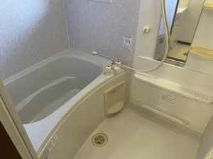 コンフォールシャンブル B102号-9