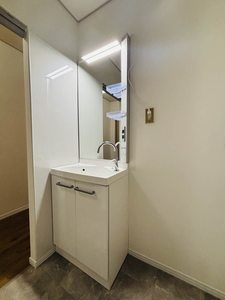 ＴＯＷＮＹ　ＨＡＹＡＫＡＷＡ A102号-12