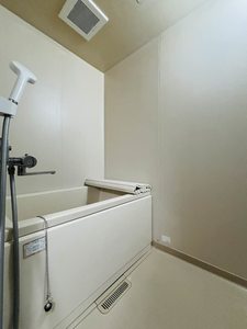 ＴＯＷＮＹ　ＨＡＹＡＫＡＷＡ A102号-13