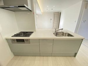 シャーメゾン白壁 0301号-5