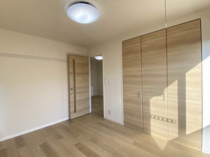 ディアス　ブルースカイ 0201号-5