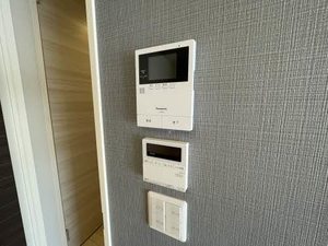 Ａｌｂｅｒｅｔａ（アルベレータ） 0203号-13