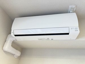 ＢＥＲＥＯ　ＯＩＷＡ 0102号-13