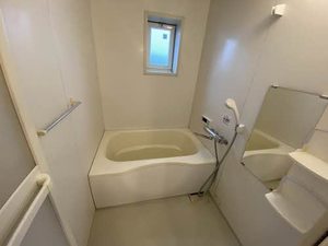 ディアベルジュ D005号-10