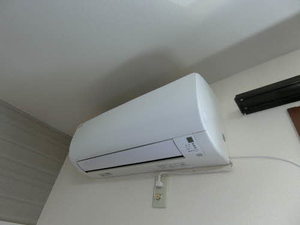 フィールドグリーン 0203号-11