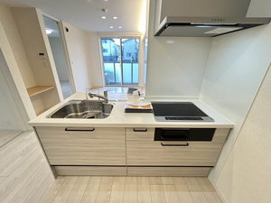 エクラステラ 0102号-13