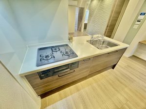 Ａｍｂｉｃｉａ東草深 0102号-4