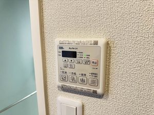 Ａｍｂｉｃｉａ東草深 0102号-14