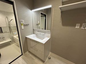 クラパドマ 0103号-10