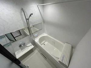 クラパドマ 0103号-11