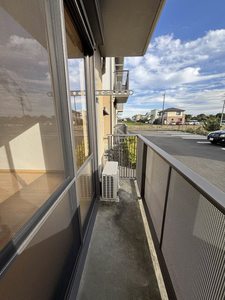 マナティー C102号-14