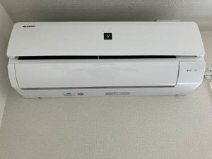フロラシオン 0303号-9