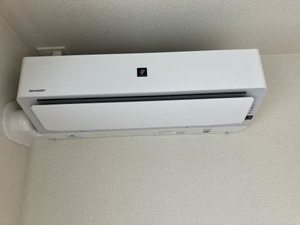 フロラシオン 0303号-13