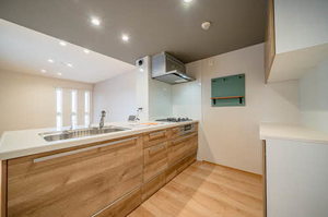 ＨＩＧＨ　ＬＩＮＥ　ＰＡＲＫ（ハイラインパーク）Ａ棟 A205号-4