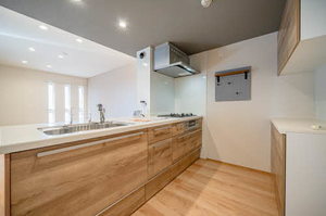 ＨＩＧＨ　ＬＩＮＥ　ＰＡＲＫ（ハイラインパーク）Ａ棟 A405号-4