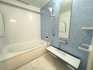 シャーメゾン　ルーエ 0103号-11