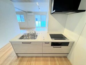 シャーメゾン　ルーエ 0203号-5