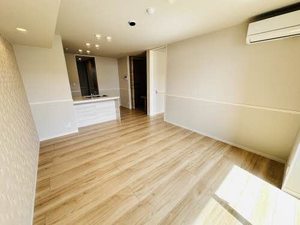 シャーメゾン開智 0103号-8