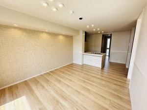 シャーメゾン開智 0103号-9