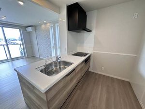 シャーメゾン開智 0301号-3