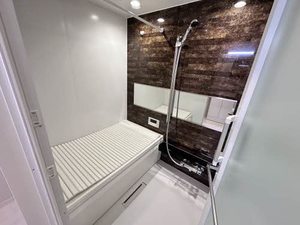 シャーメゾン開智 0301号-10