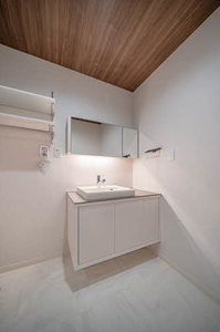 エル　シエロ 0101号-11