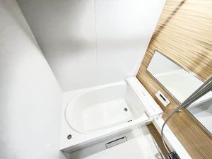 Ａｚａｌｅａ　ｒｅｓｉｄｅｎｃｅ（アザレア　レジデンス） 0201号-11