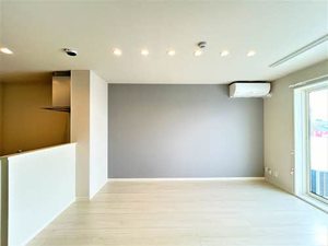 Ｓｈａ　Ｍａｉｓоｎ　新正 0101号-12