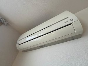 インペリアル 0303号-8