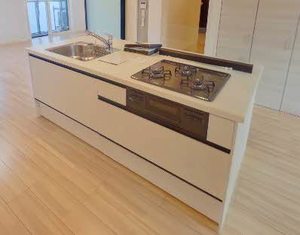 ソテ・ドゥシュ　Ａ 0102号-7