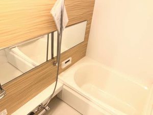 ソテ・ドゥシュ　Ａ 0102号-8