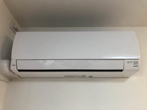 ソテ・ドゥシュ　Ａ 0201号-15