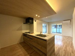 アンビエラ 0203号-3