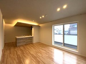 アンビエラ 0203号-4