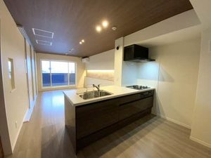 アンビエラ 0402号-3