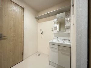 ハミングバード B103号-3